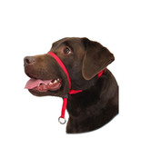 Gentle Leader Dog Head Colllar - Extra Large - $53.23