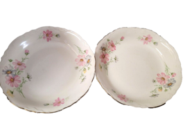 Lot 2 Homer Laughlin SUSAN Salad Plates Purple Pink Floral J47N8 Wild Flowers - £19.13 GBP