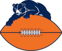 NFL Football Chicago Bears Football 1954-1973 Logo Mens Polo XS-6XL, LT-4XLT New - £20.17 GBP+