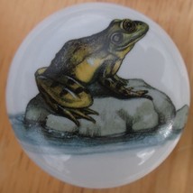 Cabinet Knobs Knob w/ Frog Frogs Toad #1 - £4.09 GBP