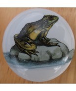 Cabinet Knobs Knob w/ Frog Frogs Toad #1 - $5.20