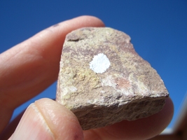 COFFINITE  URANIUM  ROCK  0.7oz. wgt.;  35,500. CPM  $17.00 + $9.50 Ship... - $17.00