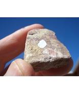 COFFINITE  URANIUM  ROCK  0.7oz. wgt.;  35,500. CPM  $17.00 + $9.50 Ship... - $17.00