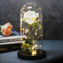 Enchanted Forever Rose Flower in Glass LED Light Christmas Decoration - £46.43 GBP