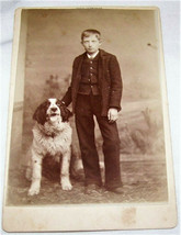 c1880 Antique Bernese Mountain Dog Mix Cabinet Photo Victorian Boy Buffalo Ny - £51.44 GBP