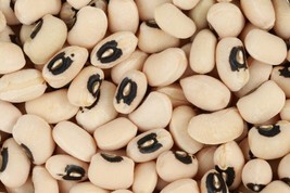 100 Seeds Blackeye Pea Blackeyed Southern Cow Pea Cowpea Vigna Unguiculata  - £7.56 GBP