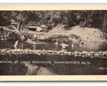 Dealer Sample Swimming at John Brown&#39;s Shandaken NY UNP Linen Postcard U14 - $35.59