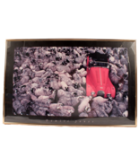 Dewitt Jones Framed Poster Print Under Glass 17 X 27 Sheep Traffic - $31.94 CAD