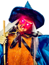 Item image 12