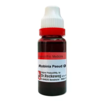 Dr Reckeweg Robinia Pseudacacia 1X (Q) (20ml) - £8.52 GBP