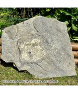 Rare Brachiosaurus Dinosaur Footprint from the Durlston Formation, Creta... - £835.75 GBP