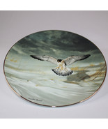 Soaring Majesty Collector Plate The Peregrine Falcon 3rd Issue Fine Chin... - $13.54