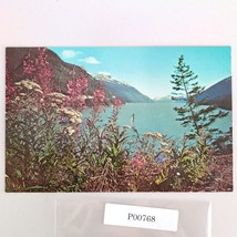 Fireweed Flower Alaska Vintage 1960s Postcard Dexter Dedman&#39;s Photo Shop - $6.88