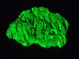 5.5 Gram Meta-Autunite Crystal – Fluorescent Uranium Ore - $84.00