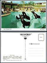 FLORIDA Postcard - Orlando, Sea World, Feeding The Seals FO - £2.32 GBP