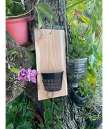 Handmade indoor/outdoor Orchid mount kit on a cedar shingle with a 5-inc... - €8,61 EUR
