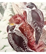 American Three Toed Woodpecker 1936 Bird Art Lithograph Color Plate Prin... - $481.11 MXN