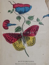 1840s Youth&#39;s Parlor Annual W 12 Hand Colored Plates Butterfly Floral Bird - £97.27 GBP