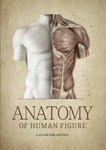 The Anatomy of Human Figure. A Guide for Artists. In English - £21.10 GBP