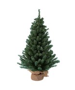 Kurt Adler 12 Miniature Pine Tree - £20.41 GBP