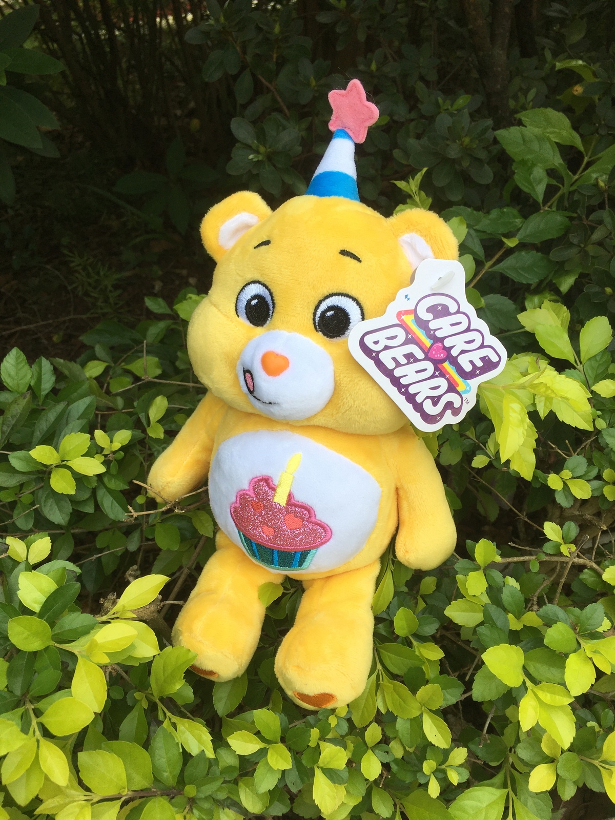 Limited Edition Care Bears - 9" Birthday Care Bear (special version with glitter - £37.77 GBP
