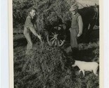 Men Loading Silage / Hay on Wagon with Dog Watching Black &amp; White Photo  - £14.00 GBP