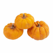 25+ Jack Be Little Pumpkin Seeds for Garden Planting  - $8.77