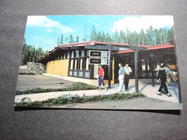 Canyon Lodge Administration Building -Yellowstone National Park- 1950s Postcard. - £6.23 GBP
