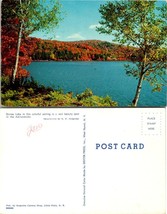 New York(NY) Adirondack Stone Lake Birch Trees in Autumn Fall Vintage Postcard - £7.39 GBP