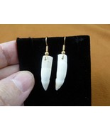 (g183-33) 3/4&quot; Alligator gator TOOTH Teeth gold tone wire Earrings I lov... - $284.12 MXN