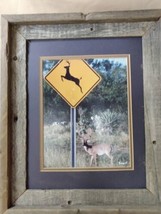 Texas Whitetail Deer Framed Photo Print Signed Rustic Barnwood Frame 17 x 14 - £26.16 GBP