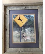 Texas Whitetail Deer Framed Photo Print Signed Rustic Barnwood Frame 17 ... - £25.74 GBP