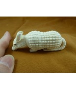 (Armad-1) Armadillo desert dillo of shed ANTLER figurine Bali detailed c... - $133.99