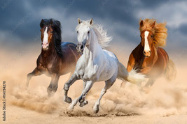 FRAMED CANVAS Art print giclee Three horse with long mane run gallop in desert - £31.14 GBP+