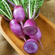 80 Seeds Radish Triton Purple Stem Vegetable Seed Garden Plant Yard - £10.97 GBP