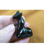 (Y-GIR-SI-568) Black Onyx GIRAFFE giraffes carving FIGURINE gemstone gir... - $261.03 MXN
