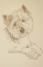 West Highland White Terrier Word Drawing #234 Kline adds your dogs name ... - £39.38 GBP