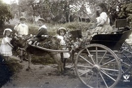 rs1957 - Children with a Donkey &amp; Carriage - photo 6x4 - $3.00