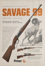 1956 Print Ad Savage Model 99 Rifles 3 Shown Bighorn Sheep Chicopee Fall... - $20.68