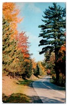 Delhi New York Rt. 28 Fall Colors Autumn Road Unused Postcard - £11.64 GBP