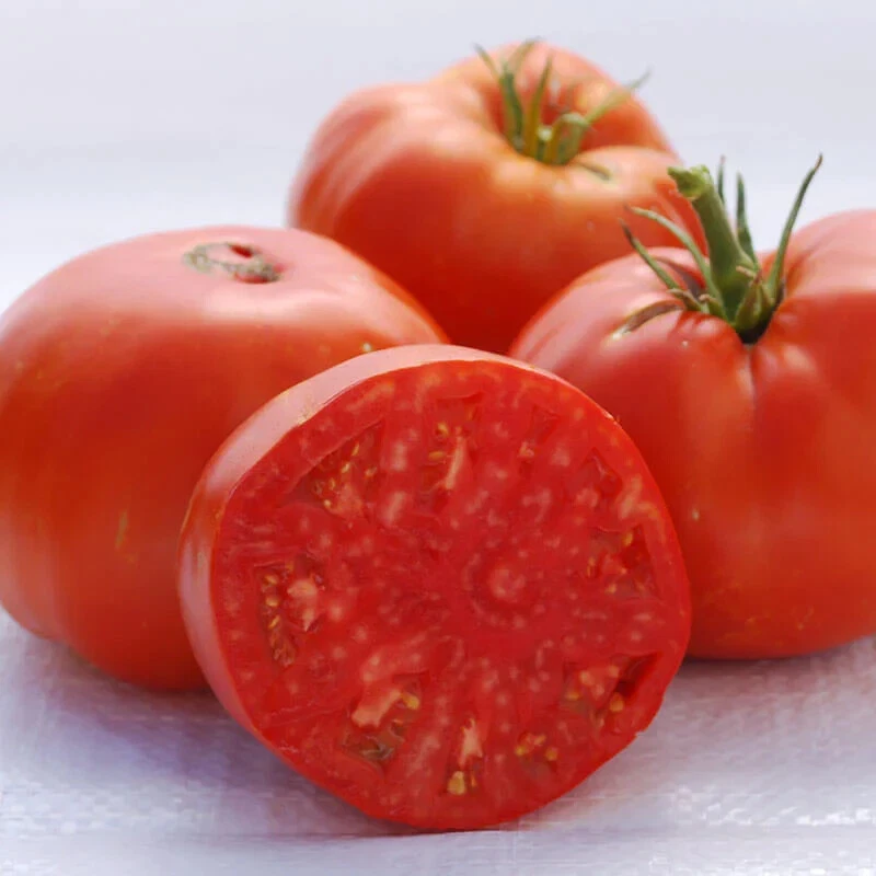 50 Seeds Red Brandywine Tomato Tomatoe Vegetable Garden Edible Canning - $9.63