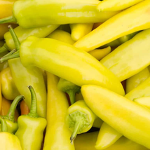 Organic Vegetables Yellow Peppers - 20 Seeds - £4.64 GBP