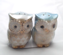 Ceramic Owl Salt Pepper Shakers Thanksgiving Fall Dinner Friends Family 3&quot;Tall - $10.36