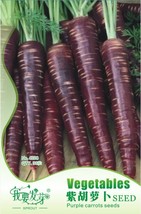 1 Original Pack 30 seeds / pack AFGHAN Purple (Black) Carrot Superfood Amazing C - £3.88 GBP