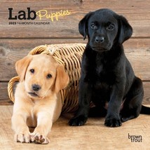 2023 Lab Puppies 7x7 16-Month Mini Wall Calendar - $9.99