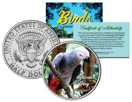 African Grey Bird Colorized Jfk Half Dollar Us Coin Parrot With Bright Red Tail - £6.80 GBP