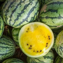 Rafhstore Yellow Crimson Watermelon Seeds 15 Melons Fruit Avg Wt 10 Lbs Us Seeds - £7.48 GBP