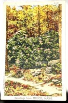 Postcard Greetings From Mexico Maine Curt Teich Linen 1947 - £1.72 GBP
