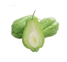 30 Pcs Bag Bonsai Chayote Succulent Pumpkin Fruit Vegetables USA SELLER Garden - $5.22