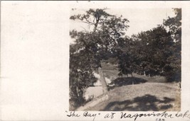 Wisconsin View at Nagawicka Lake with Trees 1908 Broeg Family RPPC Postcard Z17 - £15.19 GBP